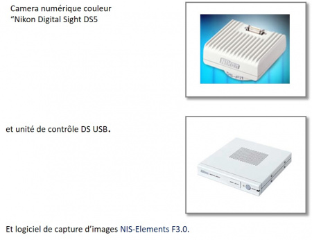 camera Nikon Eclipse