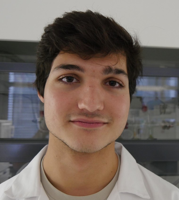 schmutz.jpg