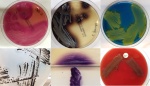 Colors of medical bacteriology-TP Pharma 2017.jpg