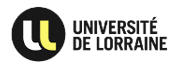 Martini_collab_logo_LorraineUniv.jpg