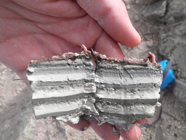 microbial mat on aragonite and detrital sediment lamina, Dead Sea