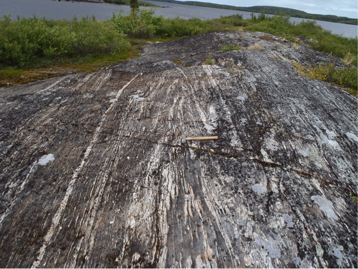 Idiwhaa tonalite, Acasta Gneiss Complex, Northwestern territories, Canada