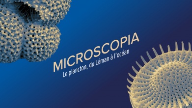 microscopia.jpg
