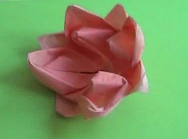 EP_1P-8P-Origami-Lotus.jpg