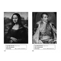 Content authentication and tamper proofing based data hiding.png