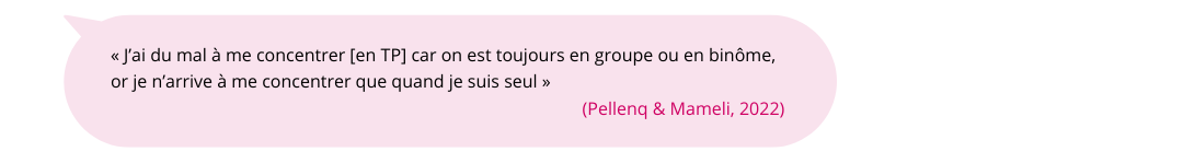 Citation sous forme d ebulle : quand je suis seul » (Pellenq & Mameli, 2022)
