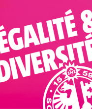 1Egalite et diversité en chiffres V4- 20224 - Copie.png