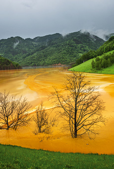 Leçon inaugurale de Sarah Stewart-Kroeker - Image NL