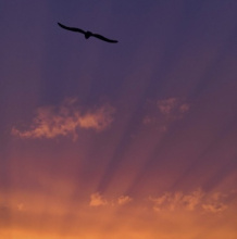 tuile 366x370 mort et deuil.jpg