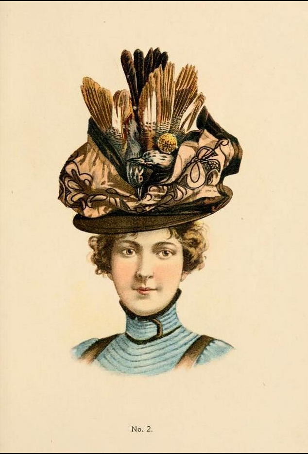 Hat No2_Screenshot 2022-12-17 at 14-47-12 Hats by H O'Neill of New York 1899-1900 Catalogue.png