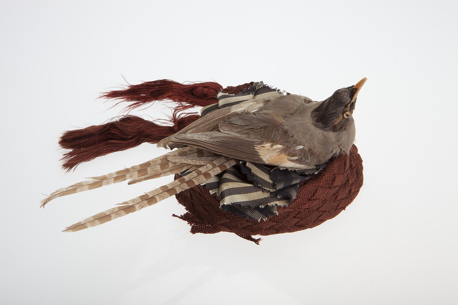 1599px-Women's_Small_Hat_with_Brown_Bird_Missouri-Museum.jpg