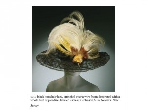 The-Bird-Hat-Fashion_whole-bird-of-paradise-1910_MD-History.jpg